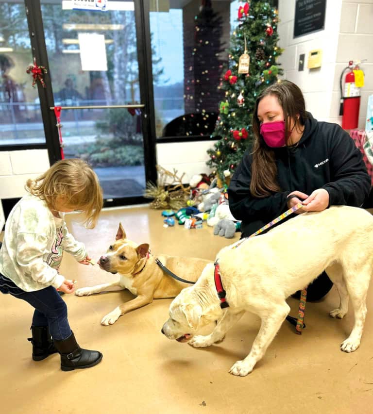 A little girl feeds treats to two dogs at the Humane Society.