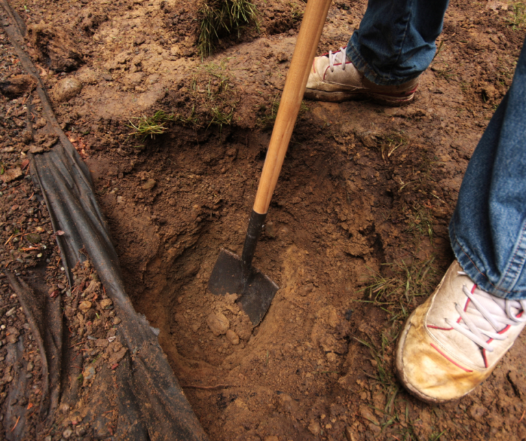 dig