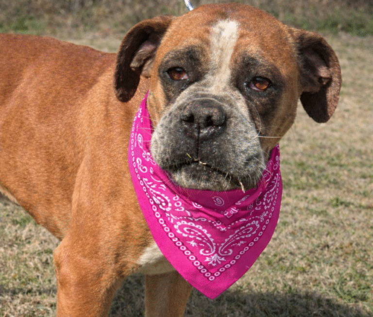 IMG_20260127_084921 (2)