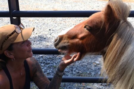 Amy McCormick, founder of Hope in Her Eyes, wants more people to discover the healing power of horses. Photos courtesy of Gadsden Messenger reporter Caylie Moore.